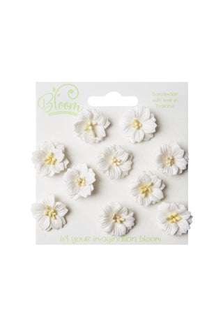Bloom - Flowers - Apple Blossoms - White (10pc)