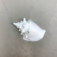 Resin Embellishments - Extra Small - Conch 3.5cm x 2,5cm