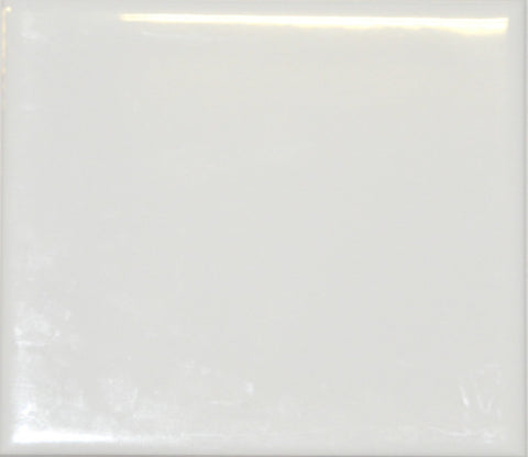 Vinyl - White Gloss (2m x 30cm)