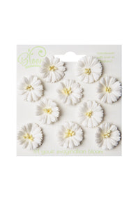 Bloom - Flowers - Cosmos - White (10pc)
