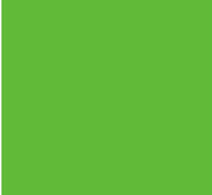 Oracal 651 Vinyl - Lime Tree Green (30cm x 2M)